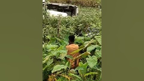 Huge python seen at Siliguri Matigara Tumbajote since yesterday