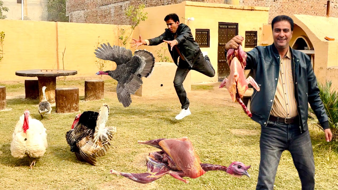 Becharay Turky Bird ka bhi Korma Bna dia||How to Cook Turkey Bird||Wahab Kamran
