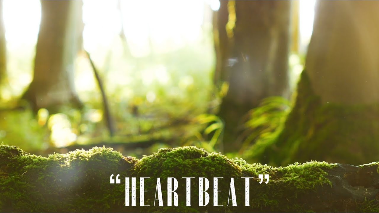 Watch "Heartbeat" | Intimate Love Song Set to Nature Scenes on YouTube Watch "Heartbeat" | Intimate Love Song Set to Nature Scenes on YouTube