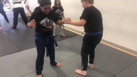 Video of my Intermediate Class training 7/7/19