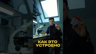 Как все устроено в банке репродуктивных клеток. 📍Reprobank Ru