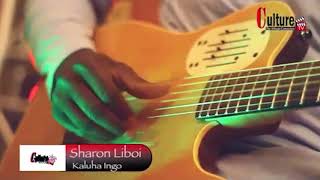 Sharon Liboi quotIngoquot