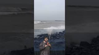 Fengal Puyal Pavangal