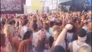 Party time: MUSIC FESTIVAL