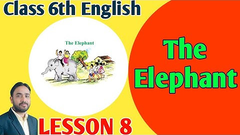 Class 6th Lesson 8 The Elephant MP BOARD English Reader कक्षा 6 अंग्रेजी पाठ 8 BY BHOOPENDRA SIR