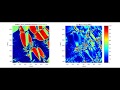 Quenching Shape Memory Alloys with a Bimodal Grain Size Distribution