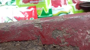 Symphony R100 Camera