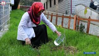 Değerlerimiz \