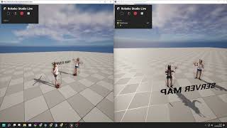 Multiplayer  Rokoko Test