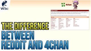 The Difference Between Reddit and 4Chan