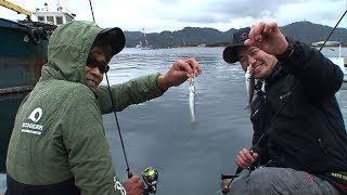 淡路島の漁港で日中アジング 良型アジ連発で絶好調 四季の釣り 18年12月28日放送 Youtube
