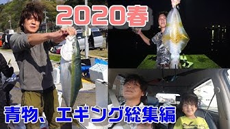 くーねる Youtube
