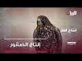 إنتاج الصقور والحبارى برنامج إنتاج قطر 