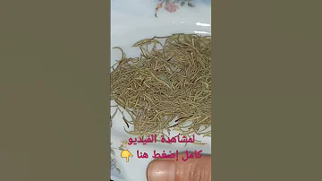 إزاي إتعالجت من نزيف الرحم بدون أدويه أو علاج 
