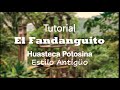 EL FANDANGUITO  |  Baile Huasteco de San Luis Potosí (estilo antiguo)  |  Tutorial