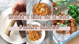 What I Eat in a Day- Vegan Recipes