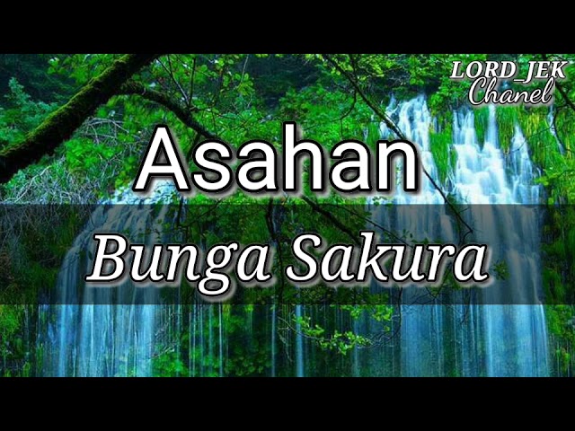 ASAHAN-BUNGA SAKURA class=