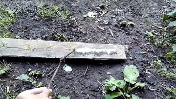 Again that green powder but with KClO4 and NH4ClO4