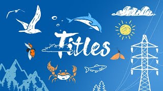 Vacation Travel Hand Drawn Titles Premiere Pro Templates