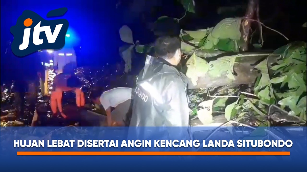 HUJAN LEBAT DAN ANGIN KENCANG MEMICU POHON TUMBANG