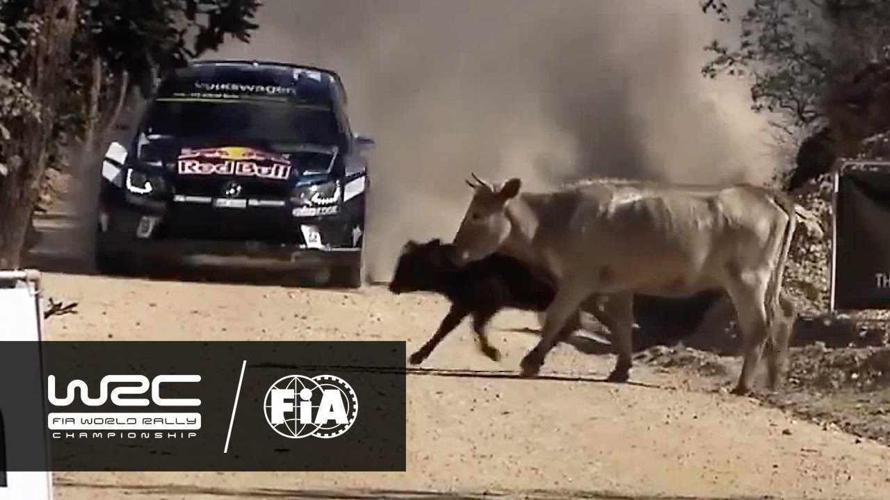 WRC 2016 REVIEW: Rally Guanajuato México - YouTube