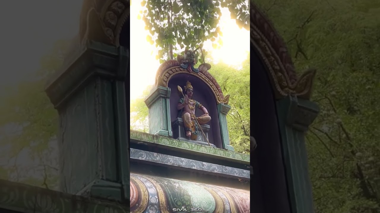 Murugan WhatsApp status Tamil #god #videos #tarotreading #god #sorts #song