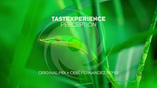 Tastexperience - Perception (Obie Fernandez Remix)