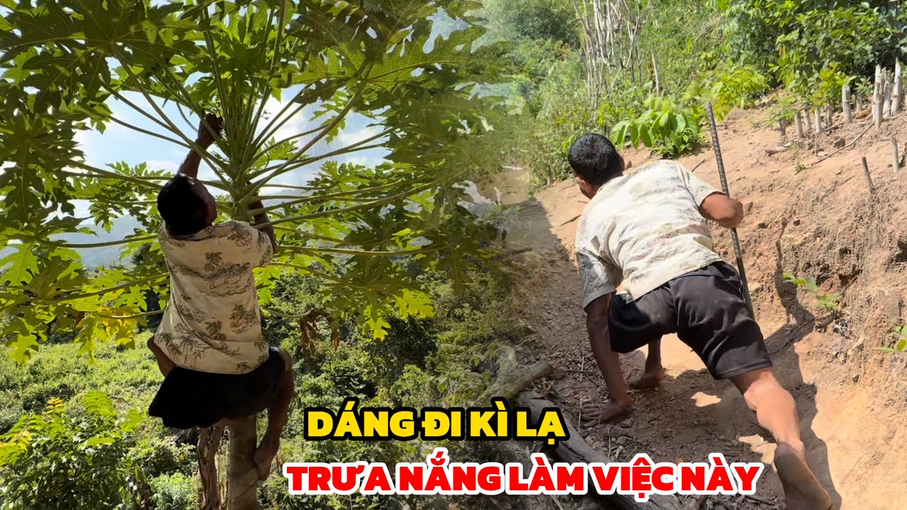 Người Đàn Ông Có Dáng Đi Kì Lạ Giữa Trưa Nắng Làm Việc Này Không Ai Ngờ Tới