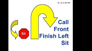 16. Call Front - Finish Left - Sit