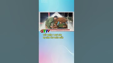 Tiếp nhận 7 ngư dân bị chìm tàu trên biển| QTTV
