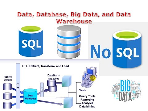 Data, Data Type, Database, Big Data, and Data Warehouse.