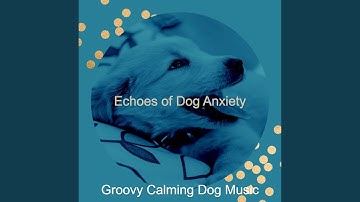 Warm Backdrops for Calming Your Pup