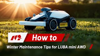 LUBA mini AWD Winter Maintenance
