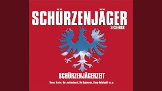 Video voorbeeld van "Schürzenjäger - Auf einmal warst Du da"