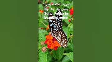 سورة الفاتحة بصوت جميل جدا جدا
