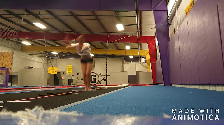 Handspring handspring handspr