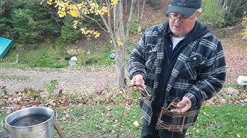 Removing rust and dying traps with natural dye