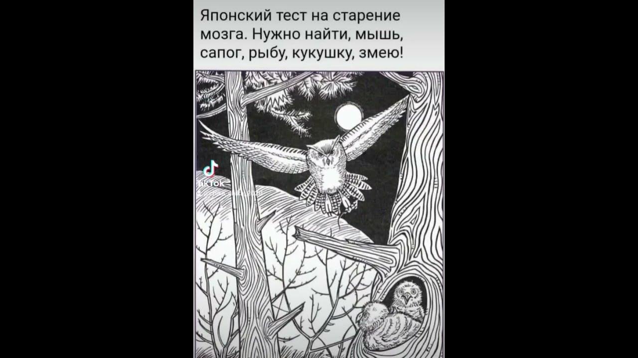 Японский теси на старение мозга. Японский тест на старение. Японский тест на старение мозга. Японский тест на старение мозга летучая мышь. Мышь сапог кукушку змею.