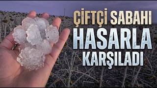 Ceviz Büyüklüğündeki Dolu Tekirdağ'da Tarlaları Yerle Bir Etti