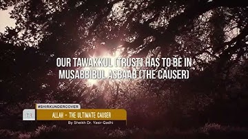 The Ultimate Causer and Being Aware of Minor Shirk by Shaykh Yasir Qadhi