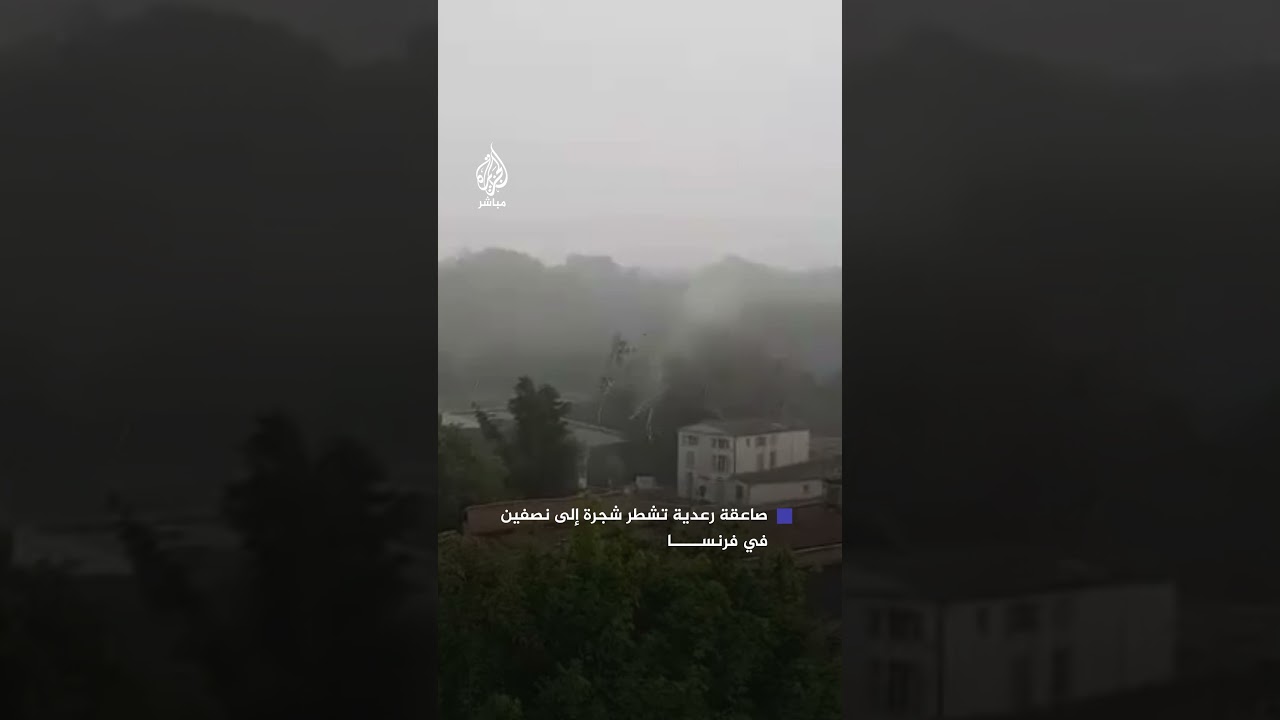 مشهد مذهل لصاعقة رعدية تُشطر شجرة إلى نصفين في مشهد نادر بفرنسا