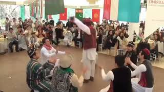 رقص های مست افغانی | Afghan Wedding Party Dance 2021