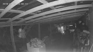 Merkury Wi-Fi smart camera night vision-showing clarity not content