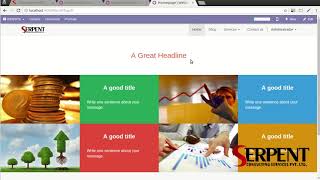 Odoo Website Blocks with image and content Snippet - SerpentCS