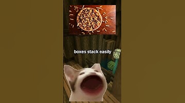 Pizza Box Mysteries! 🍕🔍