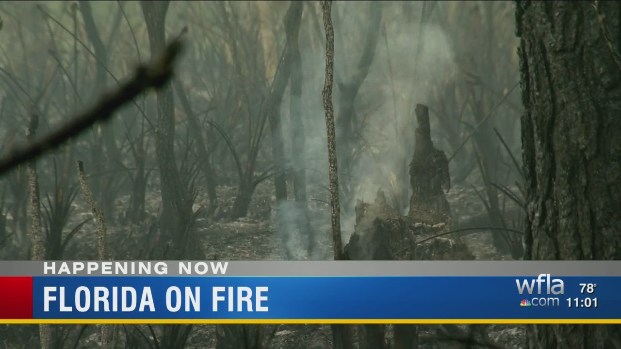 Pasco brush fire raises concerns over dry, warm conditions - YouTube