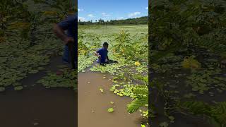 Sucuri está me pegando