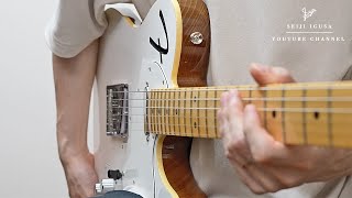 Nobody Knows How To Use A Telecaster Thinline Properly.