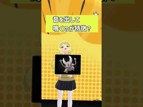 【VRChat】蟻地獄なんだよなぁ【アキネーター風】 #shorts #vtuber #ポケモン #カイロス #アキネーター