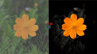 Lightroom Flowers Editing in Mobile || Moody Flowers Editing || Lightroom tutorial || Lr editing screenshot 5